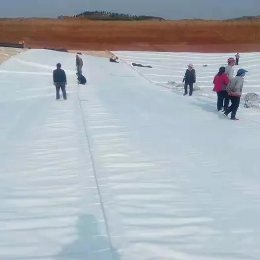 Watercourse seepage prevention works