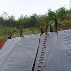 Reservoir dam geomembrane