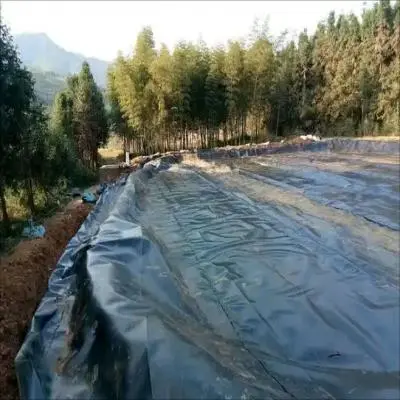 The anti-seepage membrane of artificial lake plays an important role in blocking the spread of pathogens