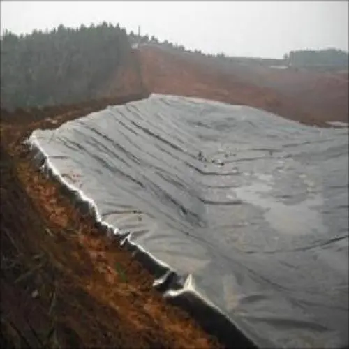 Application of geomembrane in solid waste landfill