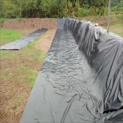 Geomembrane