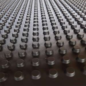 Hongyue plastic drainage board