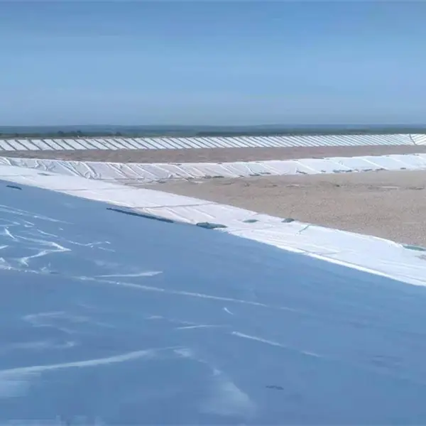 Application of geomembrane in hydraulic engineering