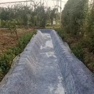 Concrete canvas for river channel slope protection