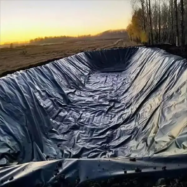 Geomembrane construction and outstanding aging resistance