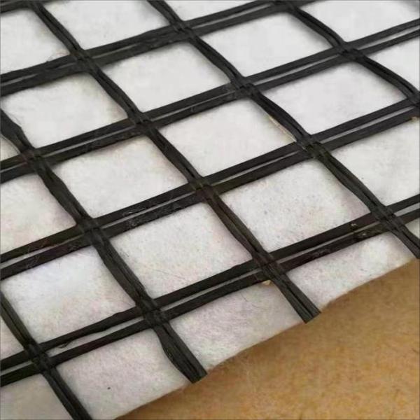 Biaxially - Stretched Plastic Geogrid(2)