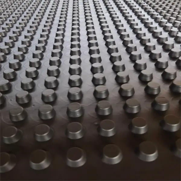 plastic drainage board（1）