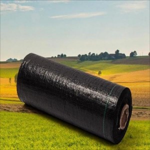 Hongyue polyethylene (PE) grass-proof cloth