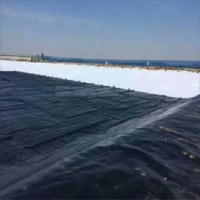 Application of anti-ultraviolet geomembrane in garbage covering