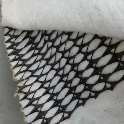 What are the differences between a three-dimensional composite drainage net and a water filter net?