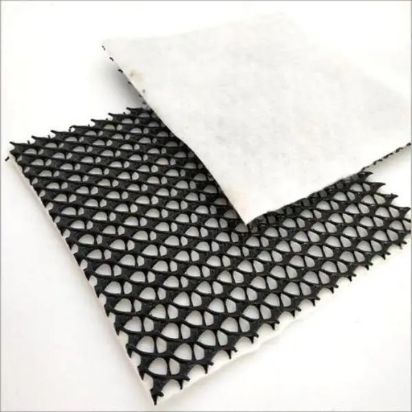Three-dimensional composite drainage network（1）