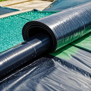 Anti – penetration Geomembrane