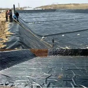 Fish pond anti-seepage membrane