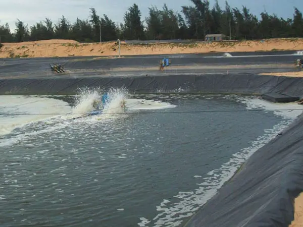 What is geomembrane used for?