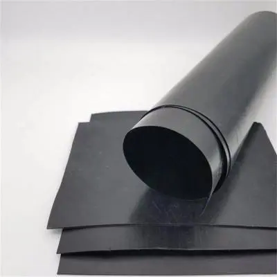 Reinforced geomembrane （1）
