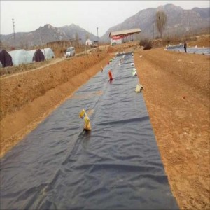 Reservoir dam geomembrane