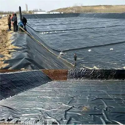 Fish pond anti-seepage membrane