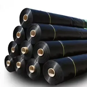 High-density polyethylene (HDPE) geomembranes for landfills