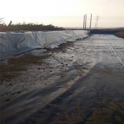 Fish pond anti - seepage membrane2